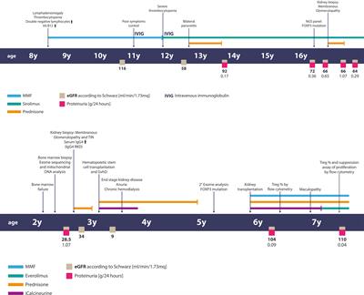 Case Report: Atypical Manifestations Associated With FOXP3 Mutations. The “Fil Rouge” of Treg Between IPEX Features and Other Clinical Entities?